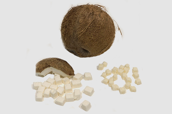 Kokoswürfel_bild1